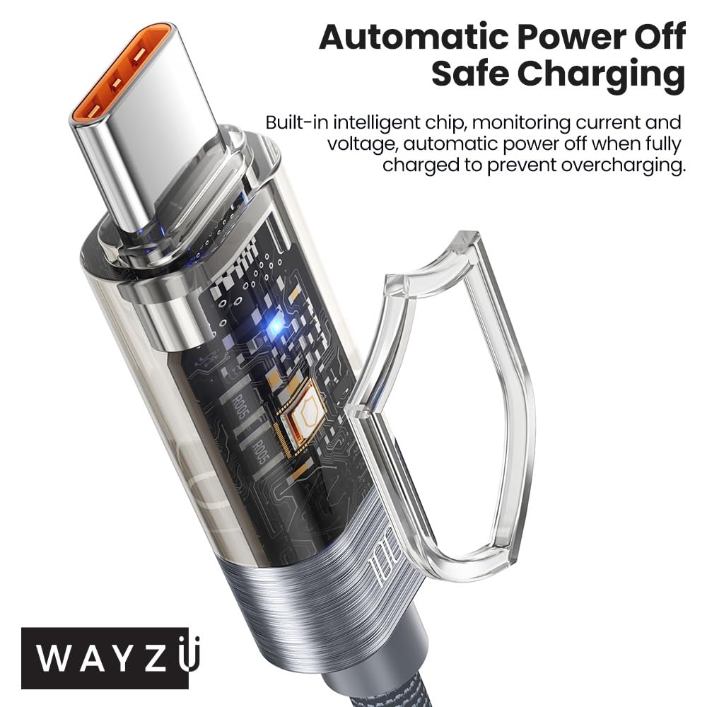 Wayzu Intelligent 100W USB-C Cable with Auto Cut-Off Battery Protection