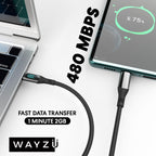 Wayzu 100W USB C to C Cable with Real-Time LED Power Display