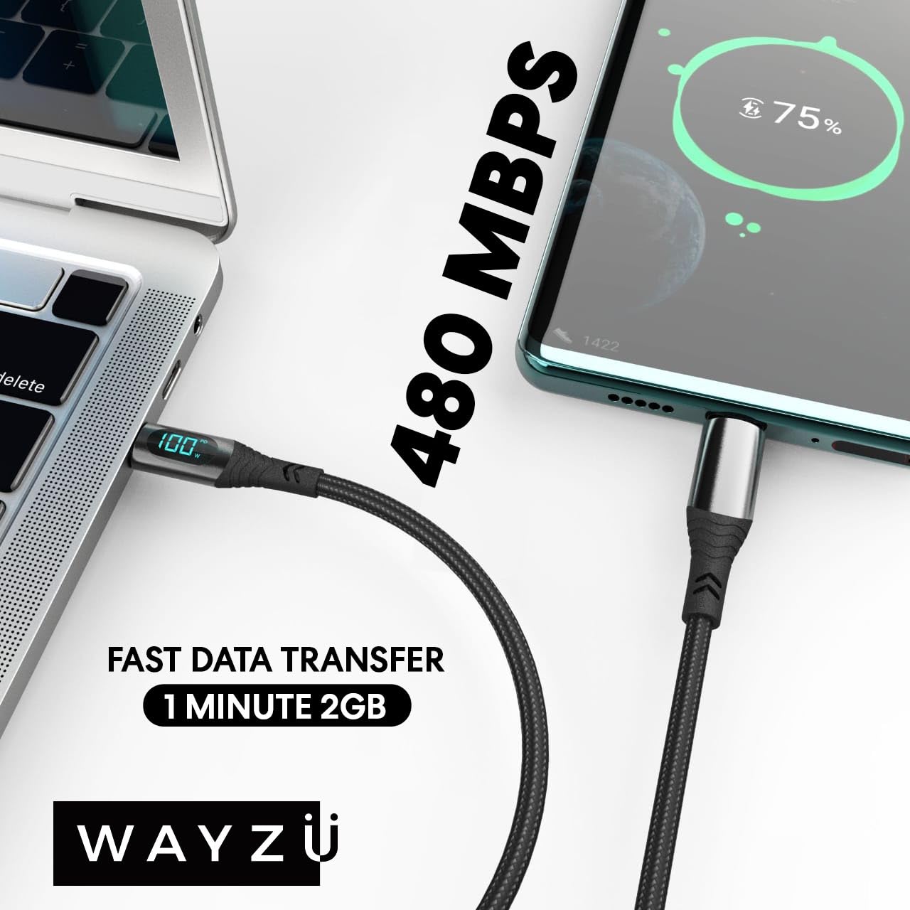 Wayzu 100W USB C to C Cable with Real-Time LED Power Display