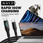 Wayzu 100W USB C to C Cable with Real-Time LED Power Display