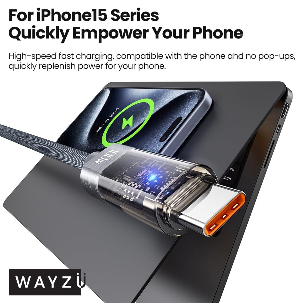 Wayzu Intelligent 100W USB-C Cable with Auto Cut-Off Battery Protection