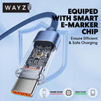 Wayzu Intelligent 100W USB-C Cable with Auto Cut-Off Battery Protection