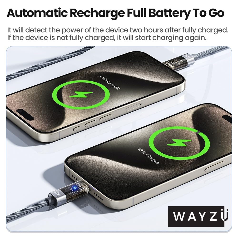 Wayzu Intelligent 100W USB-C Cable with Auto Cut-Off Battery Protection