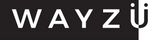 Logo of WAYZ® on a black background